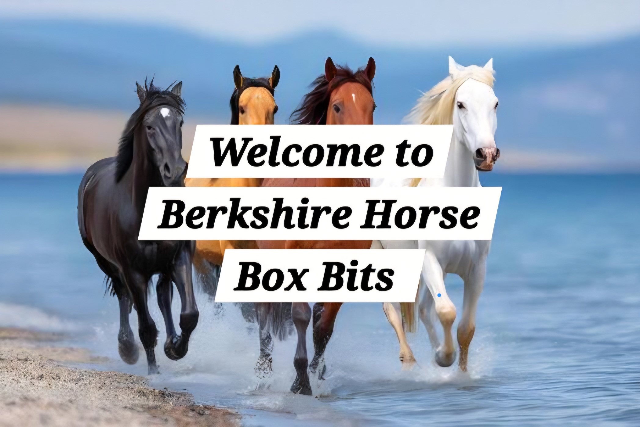 Welcome To Horse Box Bits